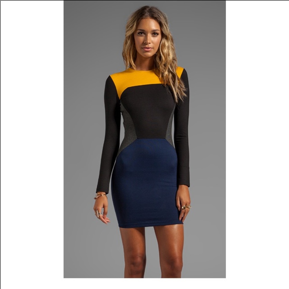 Torn By Ronny Kobo Color Block Ponti Dress